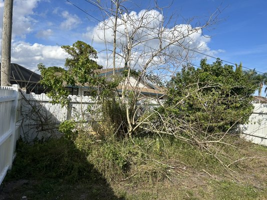 Yard Clean Up - Client called said she needed a yard clean that consisted of tree removal, bush trimming, and weed removal. At real verde landscaping we wasted no time and gave her same same estimate and got to work that same week. Yard Clean Up - Client called said she needed a yard clean that consisted of tree removal, bush trimming, and weed removal. At real verde landscaping we wasted no time and gave her same same estimate and got to work that same week.