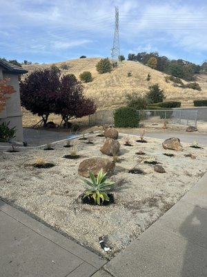 Landscaping - This front yard was covered in dead grass and sprinklers. I converted that to drip lines, added 35 plants, added rock and bark to the front yard. Landscaping - This front yard was covered in dead grass and sprinklers. I converted that to drip lines, added 35 plants, added rock and bark to the front yard.