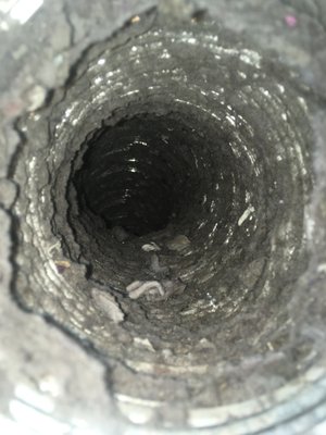 Dryer and Vent Cleaning - One of our customers had a dryer fire because too much lint built up in the venting and over heated the dryer motor. Once we came out and cleaned the dryer and venting the clothes could be dried effectively once more and the customer did not have to buy a new dryer! Dryer and Vent Cleaning - One of our customers had a dryer fire because too much lint built up in the venting and over heated the dryer motor. Once we came out and cleaned the dryer and venting the clothes could be dried effectively once more and the customer did not have to buy a new dryer!