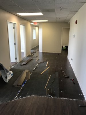 laminate flooring in an office - Call or text today for a quote. laminate flooring in an office - Call or text today for a quote.