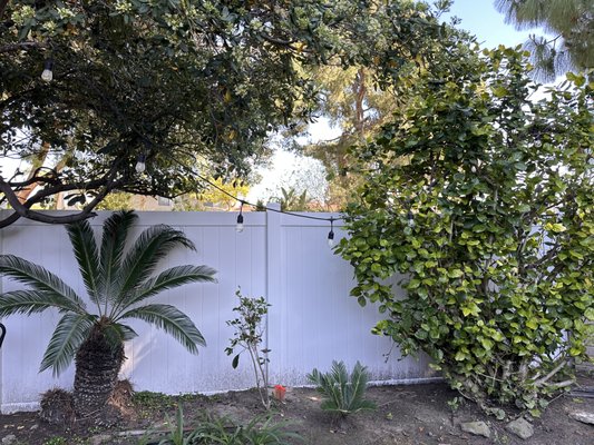 Vinyl Privacy Fence - Vinyl fence is made with PVC (polyvinyl chloride) mixed with other ingredients that adds strength, durability and protection against UV damage. Vinyl fences are a low maintenance alternative to other fence materials.