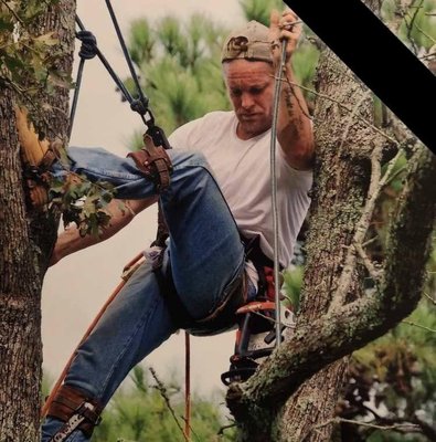 Tree Services - check out some of our work! Tree Services - check out some of our work!