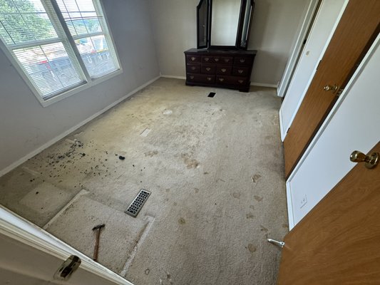 Move out clean smoking/hoarding - This residential job definitely put our professional cleaning skills to the test. From years of smoke residue to dirt and grime build up, pet stains, and body fluids. This was nothing our team couldn’t handle. 

Needing a transformation of your home? Give us a call!