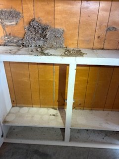 Termite Treatment - This was a customer that contacted us about possible termites. After inspection we found that termites had targeted the garage book case area. We treated the entire house. Termite Treatment - This was a customer that contacted us about possible termites. After inspection we found that termites had targeted the garage book case area. We treated the entire house.