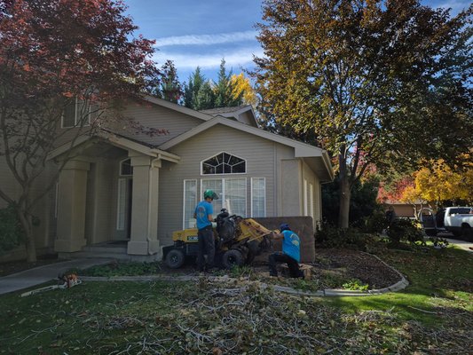 All pruning and removal services ￼ - Get your property taken care of by trained professionals. Learn what it’s like to experience a five star company.￼