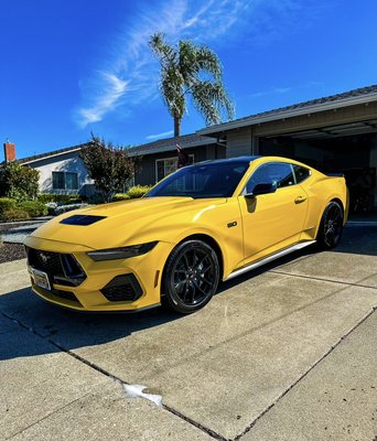 Full Detail & Ceramic Coating Service - We recently finished up a Full detail & Ceramic coating service on this brand new Mustang GT, getting the exterior protected for years! We performed a full detailed decontamination wash, exterior paint polish, and our 4-Year Ceramic Coating to make the paint pop and shine! Our Ceramic coating service protects your vehicle for years, keeps maintenance easy, keeps your car looking cleaner for longer, and gives the exterior extreme water repellency. Give us a Call! Full Detail & Ceramic Coating Service - We recently finished up a Full detail & Ceramic coating service on this brand new Mustang GT, getting the exterior protected for years! We performed a full detailed decontamination wash, exterior paint polish, and our 4-Year Ceramic Coating to make the paint pop and shine! Our Ceramic coating service protects your vehicle for years, keeps maintenance easy, keeps your car looking cleaner for longer, and gives the exterior extreme water repellency. Give us a Call!