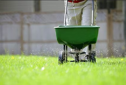 FERTILIZER & WEED CONTROL - Year-Round Fertilization & Weed Control | Ignite Landscaping
Keep your lawn healthy, lush, and weed-free all year with Ignite Landscaping’s expert fertilization and weed control services. Our customized treatments ensure strong grass growth while eliminating unwanted weeds, so your yard stays green and vibrant in every season.
🌱 Comprehensive Lawn Fertilization – Nutrient-rich fertilizers tailored to your lawn’s needs for optimal growth.
🌾 Pre-Emergent & Post-Emergent Weed Control – Stop weeds before they sprout and eliminate existing ones.
🍂 Seasonal Lawn Treatments – Specialized care for spring growth, summer resilience, fall recovery, and winter preparation.
💧 Soil Health & pH Balancing – Improve lawn strength and disease resistance with proper soil treatments.
With Ignite Landscaping’s professional lawn care, you’ll enjoy a greener, healthier yard without the hassle. Our year-round approach guarantees lasting results and a weed-free, thriving lawn in every season.
📍 Serving Medina, OH and surrounding areas | 📞 Call (330) 635-4043 Year-Round Fertilization & Weed Control | Ignite Landscaping FERTILIZER & WEED CONTROL - Year-Round Fertilization & Weed Control | Ignite Landscaping
Keep your lawn healthy, lush, and weed-free all year with Ignite Landscaping’s expert fertilization and weed control services. Our customized treatments ensure strong grass growth while eliminating unwanted weeds, so your yard stays green and vibrant in every season.
🌱 Comprehensive Lawn Fertilization – Nutrient-rich fertilizers tailored to your lawn’s needs for optimal growth.
🌾 Pre-Emergent & Post-Emergent Weed Control – Stop weeds before they sprout and eliminate existing ones.
🍂 Seasonal Lawn Treatments – Specialized care for spring growth, summer resilience, fall recovery, and winter preparation.
💧 Soil Health & pH Balancing – Improve lawn strength and disease resistance with proper soil treatments.
With Ignite Landscaping’s professional lawn care, you’ll enjoy a greener, healthier yard without the hassle. Our year-round approach guarantees lasting results and a weed-free, thriving lawn in every season.
📍 Serving Medina, OH and surrounding areas | 📞 Call (330) 635-4043 Year-Round Fertilization & Weed Control | Ignite Landscaping