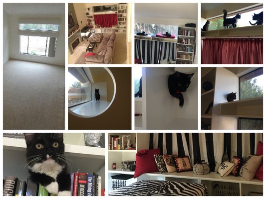 Catification / bookshelves / window seat / storage - Catification project: cat highway, hiding spaces, lounging shelf, tower and bookshelves/reading nook we designed and realized with the precious help of Sin City Scenic. Behind the books, on every shelf, there is a hole, that the cats can use to go up and down (or hide) and get to the upper window to lounge in the sun and look outside!