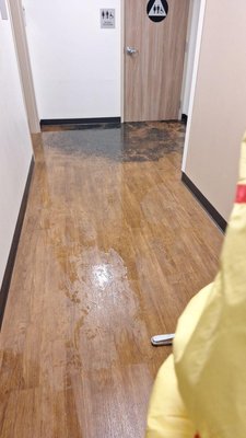 Medical Offices provide Acute Care and Need Expert Remediation - An upper story back-up situation that was unfortunately happening in an unoccupied suite, incurred a month or damages. The remediation addressed, biohazard waste cleanup, water damage and mold. Medical Offices provide Acute Care and Need Expert Remediation - An upper story back-up situation that was unfortunately happening in an unoccupied suite, incurred a month or damages. The remediation addressed, biohazard waste cleanup, water damage and mold.