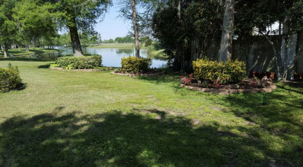Cypress Knee Removal - Knee removal with a stump grinder
We can work with you to suit your needs. Whether you are looking for full tree removal with all of the knees gone, or if you just want us to knock the knees out of the way while preserving the tree, we can help.
We have performed the service of cutting Cypress knees many times. It is easy, quick, and fairly inexpensive. Please contact us for a free estimate! Cypress Knee Removal - Knee removal with a stump grinder
We can work with you to suit your needs. Whether you are looking for full tree removal with all of the knees gone, or if you just want us to knock the knees out of the way while preserving the tree, we can help.
We have performed the service of cutting Cypress knees many times. It is easy, quick, and fairly inexpensive. Please contact us for a free estimate!