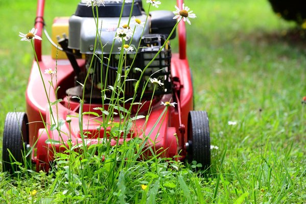 Riding lawn mower diagnostics during mobile mower repair in Englewood. - Mobile Small Engine Service provides reliable **small engine repair in Littleton ** with convenient mobile service that comes directly to your home. Instead of hauling heavy equipment to a repair shop, our mobile mechanic performs diagnostics and repairs on-site for many common small engine problems.

We specialize in lawn mower repair, riding lawn mower repair, snow blower repair, generator repair, and lawn equipment repair. Many issues we see involve carburetor clogs, stale fuel, ignition problems, and routine maintenance needs. Regular tune-ups and professional service can help extend the life of your outdoor equipment and keep it running reliably throughout the season.

Our mobile small engine repair service works on a variety of outdoor power equipment including push mowers, riding mowers, snow blowers, generators, trimmers, chainsaws, and other small engine machines used by homeowners. Convenient on-site service saves time and makes it easier to get equipment running again without transportation hassles.

Serving homeowners across the Littleton metro area including Lakewood, Littleton, Aurora, Englewood, and Centennial, our goal is to provide dependable mobile repair service for common lawn equipment and seasonal power equipment problems.

Whether you need lawn mower repair in Littleton, help diagnosing a snow blower problem, or general small engine maintenance, mobile service offers a practical solution for keeping equipment working when you need it most.