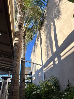 Si!Mon - This remodel was done to upgrade the esthetics and provide a fresh and natural environment for patrons Si!Mon - This remodel was done to upgrade the esthetics and provide a fresh and natural environment for patrons