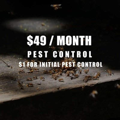 Pest Control - Pest Control & Prevention is not just a service, it’s a science that requires experienced professionals in order to get proven results you can count on. At NTX Best Pest our Pest Experts are professionally trained Commercial and Residential Experts that will provide fast and guaranteed results. Pest Control - Pest Control & Prevention is not just a service, it’s a science that requires experienced professionals in order to get proven results you can count on. At NTX Best Pest our Pest Experts are professionally trained Commercial and Residential Experts that will provide fast and guaranteed results.