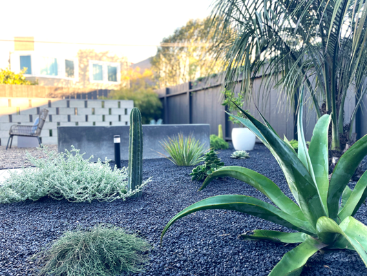 Modern Desert Oasis (San Francisco, CA) - Designed by Outside Collective. Installed by Natura Gardeners.