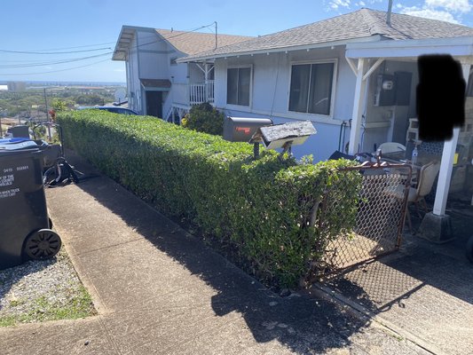 Lawn Maintenance 
-weed eating
-lawn mowing
-trimming - Lawn Maintenance 
-weed eating
-lawn mowing
-trimming