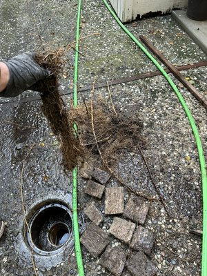 Hydro jetting - Customer called for clogged storm drain after the storms we had during Christmas, we went out there to unclog them and showed them the roots and where the line was broken. Hydro jetting - Customer called for clogged storm drain after the storms we had during Christmas, we went out there to unclog them and showed them the roots and where the line was broken.
