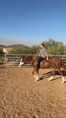 Horse training - Some of the horses we have trained over the years Horse training - Some of the horses we have trained over the years