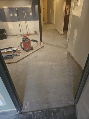new flooring for business office - This is a  750 sq ft office that needed tile removed, floor leveled, and finished with glue down plank flooring