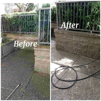 Pressure Washing Service - Pressure Washing services for homes (soft wash), patios, decks, and outdoor furniture.