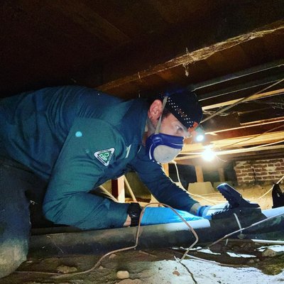 Forensic Attic Restoration & Rodent Remediation - Versa-Tech® Pest Management provides complete attic restoration, cleanup, proofing, and rodent remediation. Our multi-step process removes soiled, rodent-damaged insulation and debris, thoroughly sanitizing contaminated areas affected by droppings and urine. We seal all structural rodent entry points and set targeted traps to eliminate active infestations. Once the space is fully cleared and secured, we install fresh, high-performance blown-in insulation to restore your home's energy efficiency. Proudly serving San Dimas, the San Gabriel Valley, Los Angeles County, and Orange County, CA. Forensic Attic Restoration & Rodent Remediation - Versa-Tech® Pest Management provides complete attic restoration, cleanup, proofing, and rodent remediation. Our multi-step process removes soiled, rodent-damaged insulation and debris, thoroughly sanitizing contaminated areas affected by droppings and urine. We seal all structural rodent entry points and set targeted traps to eliminate active infestations. Once the space is fully cleared and secured, we install fresh, high-performance blown-in insulation to restore your home's energy efficiency. Proudly serving San Dimas, the San Gabriel Valley, Los Angeles County, and Orange County, CA.