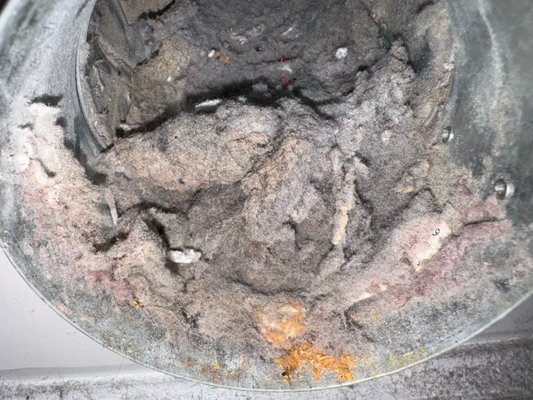 air duct cleaning and chimney repair - We prioritize the cleanliness and health of your homes air duct cleaning.
We are the local experts you can trust for all your chimney needs and cleaning air duct cleaning and chimney repair - We prioritize the cleanliness and health of your homes air duct cleaning.
We are the local experts you can trust for all your chimney needs and cleaning