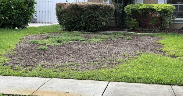 Lawn Pest Control- Brown Patch Fungus - DO YOU NEED A LAWN WELLNESS CHECK? We'll make sure your system is working properly and that you have everything necessary to keep your landscape healthy, all while conserving water. These system checks can also help avoid any damage down the line!
To schedule the inspection, please click here or give us a call. Lawn Pest Control- Brown Patch Fungus - DO YOU NEED A LAWN WELLNESS CHECK? We'll make sure your system is working properly and that you have everything necessary to keep your landscape healthy, all while conserving water. These system checks can also help avoid any damage down the line!
To schedule the inspection, please click here or give us a call.