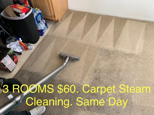 Carpet cleaning - We strive on doing the best cleaning for the most affordable price