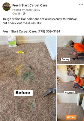 Carpet cleaning and restoration - These carpet restorations require a well trained staff with extra attention to detail! From paint and pet stain removal to overall carpet restoration, we can bring your carpets back to life!