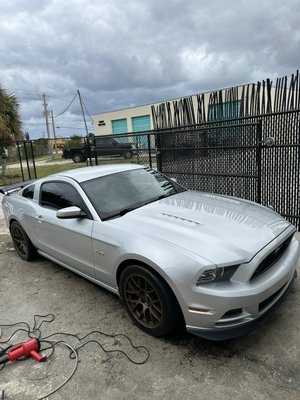 Mustang 5.0 owned by a Race car driver
Premium detail 200$ - Premium detail 200$
… Extensive mildew damage in seats, seats washed and leather treated Mustang 5.0 owned by a Race car driver
Premium detail 200$ - Premium detail 200$
… Extensive mildew damage in seats, seats washed and leather treated
