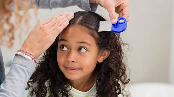 Lexi The Lice Liberator - Welcome to Lexi’s Lice Service, where we provide safe and effective treatment for head lice infestations. We understand the stress and frustration that comes with dealing with lice, which is why our trained professionals use only non-toxic and safe products to eliminate lice and nits from your hair.
Our approach to lice treatment is thorough and personalized. We begin with a thorough head lice screening and diagnosis to determine the extent of the infestation. From there, we tailor our treatment plan to meet your specific needs, including nit picking and removal of lice eggs.
Not only do we provide effective treatment, but we also offer education on lice prevention and maintenance to help you avoid future infestations. We are committed to ensuring that we leave our home lice-free and with the knowledge to prevent future infestations.
We understand that lice can be a sensitive issue, which is why we travel to your home to offer a discreet and comfortable environment for our clients.
Services offered may include:
- Head lice screening and diagnosis
- Safe and effective lice treatment using non-toxic products
- Nit picking and removal of lice eggs
- Education on lice prevention and maintenance
- Follow-up appointments to ensure complete eradication of lice Lexi The Lice Liberator - Welcome to Lexi’s Lice Service, where we provide safe and effective treatment for head lice infestations. We understand the stress and frustration that comes with dealing with lice, which is why our trained professionals use only non-toxic and safe products to eliminate lice and nits from your hair.
Our approach to lice treatment is thorough and personalized. We begin with a thorough head lice screening and diagnosis to determine the extent of the infestation. From there, we tailor our treatment plan to meet your specific needs, including nit picking and removal of lice eggs.
Not only do we provide effective treatment, but we also offer education on lice prevention and maintenance to help you avoid future infestations. We are committed to ensuring that we leave our home lice-free and with the knowledge to prevent future infestations.
We understand that lice can be a sensitive issue, which is why we travel to your home to offer a discreet and comfortable environment for our clients.
Services offered may include:
- Head lice screening and diagnosis
- Safe and effective lice treatment using non-toxic products
- Nit picking and removal of lice eggs
- Education on lice prevention and maintenance
- Follow-up appointments to ensure complete eradication of lice