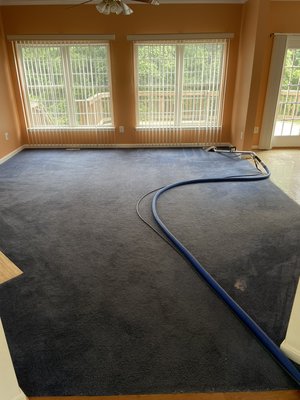 Pet stains and odor removal - Cleaning pet stains and odor after move out