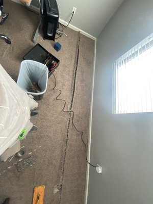 Carpet pet damage repairs - From pet safe repairs to cleaning and power stretching carpets I always find the solution to a satisfied guarantee to my customers Carpet pet damage repairs - From pet safe repairs to cleaning and power stretching carpets I always find the solution to a satisfied guarantee to my customers