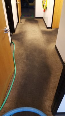 Carpet Cleaning - Is your carpet FRESH & CLEAN? Carpet Cleaning - Is your carpet FRESH & CLEAN?