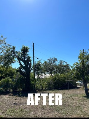 Backyard Clean Up Under Power Lines - A customer got in contact with us after a large portion of a tree had died and broken, partially falling into the customer's yard. There was a lot of clean up that needed to be done, and we needed to cut more of the tree to get rid of the rest of the dead branches that would likely fall later anyway. We were able to get the tree cut back and removed the debris from the customer's yard pronto! Backyard Clean Up Under Power Lines - A customer got in contact with us after a large portion of a tree had died and broken, partially falling into the customer's yard. There was a lot of clean up that needed to be done, and we needed to cut more of the tree to get rid of the rest of the dead branches that would likely fall later anyway. We were able to get the tree cut back and removed the debris from the customer's yard pronto!
