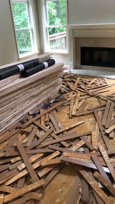 New Floors - New floor, new home New Floors - New floor, new home