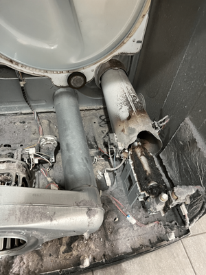 LG dryer repair/maintenance - LG dryer repair/maintenance . Common service for any dryers that would require full disassembling with professional clean up and tune up. LG dryer repair/maintenance - LG dryer repair/maintenance . Common service for any dryers that would require full disassembling with professional clean up and tune up.