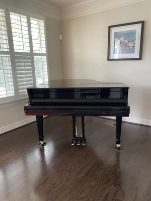 Piano Expertise - We Specialize in the safe and precise relocation of pianos of all sizes - from uprights to concert Grands. Piano Expertise - We Specialize in the safe and precise relocation of pianos of all sizes - from uprights to concert Grands.