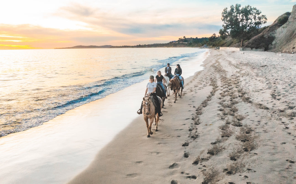 Beach Rides - Join us for an unforgettable ride along the beautiful beaches of Santa Barbara. Our knowledgeable wranglers and friendly well trained, horses have wonderful dispositions. Come out and meet them for yourself!
Explore Santa Barbara-
Enjoy horseback riding on the beach with Los Padres Outfitters. Experience the breathtaking scenery of Santa Barbara’s beaches on horseback. Explore majestic mountains, dramatic ocean bluffs, and the mighty Pacific horseback riding in one of the world’s most beautiful destinations. All beach rides start in the hills of Summerland and follow a trail that takes us down to the beach.
Expert & Friendly Guides-
Our knowledgeable wranglers and well trained, friendly horses make our private guided beach rides the best in California. Be prepared for an unforgettable beach ride, whether it be a romantic getaway, special occasion, reunion, or private group ride.
Ultimate Picnic Package-
Enjoy a scenic picnic following your beach or trail ride. Dismount and your guide will take you to a secluded spot with incredible views of land and sea. We prepare a specially curated selection of locally sourced treats. Let us know if you have any dietary requirements; you’re welcome to provide your own wine.
Los Padres Outfitters Beach Rides-
$195 per person, private 1 1/2 hour ride (2 or more riders)
$295 single rider, private 1 1/2 hour ride
$80 per person, each additional hour
$348 per person, 2 1/2 hour picnic ride (minimum 2 people per private ride. Picnic rides will include 20% automatic gratuity)
Ask about custom packages and locations
All Beach rides are part trail, in order to get us to the beach.
220 lb weight limit Beach Rides - Join us for an unforgettable ride along the beautiful beaches of Santa Barbara. Our knowledgeable wranglers and friendly well trained, horses have wonderful dispositions. Come out and meet them for yourself!
Explore Santa Barbara-
Enjoy horseback riding on the beach with Los Padres Outfitters. Experience the breathtaking scenery of Santa Barbara’s beaches on horseback. Explore majestic mountains, dramatic ocean bluffs, and the mighty Pacific horseback riding in one of the world’s most beautiful destinations. All beach rides start in the hills of Summerland and follow a trail that takes us down to the beach.
Expert & Friendly Guides-
Our knowledgeable wranglers and well trained, friendly horses make our private guided beach rides the best in California. Be prepared for an unforgettable beach ride, whether it be a romantic getaway, special occasion, reunion, or private group ride.
Ultimate Picnic Package-
Enjoy a scenic picnic following your beach or trail ride. Dismount and your guide will take you to a secluded spot with incredible views of land and sea. We prepare a specially curated selection of locally sourced treats. Let us know if you have any dietary requirements; you’re welcome to provide your own wine.
Los Padres Outfitters Beach Rides-
$195 per person, private 1 1/2 hour ride (2 or more riders)
$295 single rider, private 1 1/2 hour ride
$80 per person, each additional hour
$348 per person, 2 1/2 hour picnic ride (minimum 2 people per private ride. Picnic rides will include 20% automatic gratuity)
Ask about custom packages and locations
All Beach rides are part trail, in order to get us to the beach.
220 lb weight limit