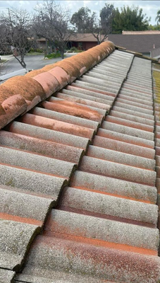 Roof Cleaning - This is a deep cleaning roof wash for algae and moss removal. Insurance companies require this type of cleaning for home insurance renewals.