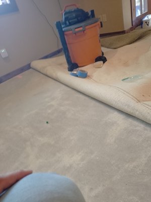 reparación de alfombras - reparacion e instalación de nueva esponja para alfombra limpieza preparación e instalación y estirado de alfombra reparación de alfombras - reparacion e instalación de nueva esponja para alfombra limpieza preparación e instalación y estirado de alfombra