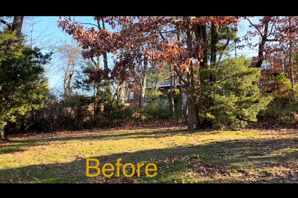 Abandoned Property Lot Clearance - Our client had recently purchased this abandoned overgrown property lot and needed it cleared for new construction. Our client couldn’t be more ecstatic with our work. Project took 2 days to complete in Mid November with shortened working hours.