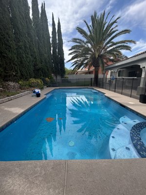 Mr. Tom's cigar tree pool - Our 6-step weekly service process ensures that you can rest easy knowing we did our job
1.) Test & treat water
2.) Brush tiles & walls
3.) Skim surfaces
4.) Vacuum floors & steps
5.) Inspect pumps & filters
6.) Send weekly Smiley’s Report with water health data, pool prescription & photo record of your sparkling clean pool. Mr. Tom's cigar tree pool - Our 6-step weekly service process ensures that you can rest easy knowing we did our job
1.) Test & treat water
2.) Brush tiles & walls
3.) Skim surfaces
4.) Vacuum floors & steps
5.) Inspect pumps & filters
6.) Send weekly Smiley’s Report with water health data, pool prescription & photo record of your sparkling clean pool.