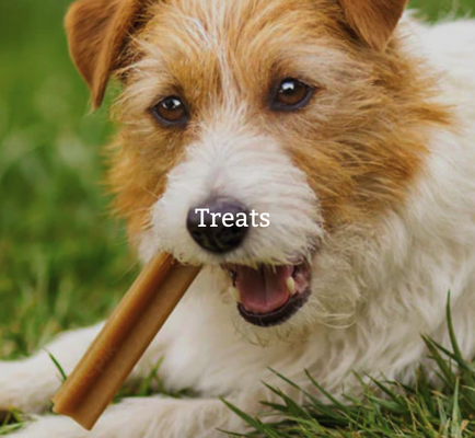 Treats - Health treats start with ingredients! Check out our online selection to help protect and promote your pets health! Treats - Health treats start with ingredients! Check out our online selection to help protect and promote your pets health!