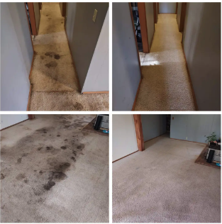 Carpet Cleaning - We use state-of-the-art Hot Water Extraction to deep clean carpets, removing stubborn stains, dirt, and allergens. Our certified technicians are experts in pet stain and odor removal, ensuring your carpets look and smell fresh, with the fastest dry times.