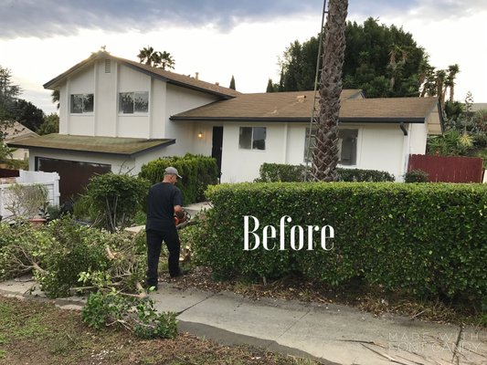 Yard makeover - We removed shrubs and unwanted plants. Installed sod and irrigation. Cleaned up planters Yard makeover - We removed shrubs and unwanted plants. Installed sod and irrigation. Cleaned up planters