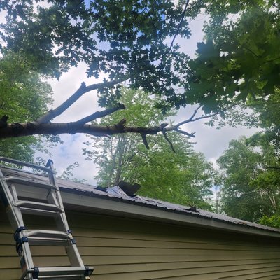 Emergency storm service - we where called out to remove tree and make building weather tight for home owner and insurance company. Emergency storm service - we where called out to remove tree and make building weather tight for home owner and insurance company.