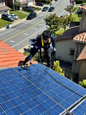 Bird Proofing, Solar Panel Cleaning & Protection System - Our Pigeons Proofing service includes removing all pigeon waste and nesting materials, deep cleaning and sanitizing the affected areas, and installing pigeon-proof barriers to prevent birds from roosting. We seal access points, protect rooflines and solar panels, and ensure long-term prevention with safe, effective exclusion methods. Bird Proofing, Solar Panel Cleaning & Protection System - Our Pigeons Proofing service includes removing all pigeon waste and nesting materials, deep cleaning and sanitizing the affected areas, and installing pigeon-proof barriers to prevent birds from roosting. We seal access points, protect rooflines and solar panels, and ensure long-term prevention with safe, effective exclusion methods.
