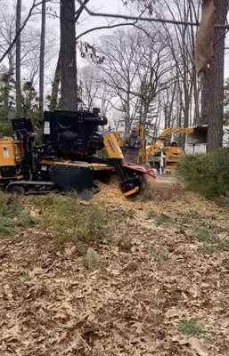 Stump Grinding and Removal - There is no stump to big or small, Check out the grinder making quick work of this stump!! Stump Grinding and Removal - There is no stump to big or small, Check out the grinder making quick work of this stump!!