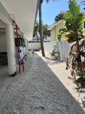 Seashell Installation - This Condominium in Indian Rocks Beach wanted a fresh new look to the landscape. We installed 17 cubic yards of Seashell ground cover in just 1 DAY! Seashell Installation - This Condominium in Indian Rocks Beach wanted a fresh new look to the landscape. We installed 17 cubic yards of Seashell ground cover in just 1 DAY!