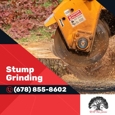 Stump Grinding - Reclaim your valuable yard space and eliminate safety hazards with R & R Tree Service's professional stump grinding services throughout Buford, GA, and North Atlanta.
Our state-of-the-art stump grinding equipment completely removes tree stumps of any size, grinding them below ground level to allow for new landscaping, construction, or simply a cleaner appearance. Whether you have one stubborn stump or multiple stumps from recent tree removal, our experienced crew can handle any stump grinding project efficiently and affordably. As a family-owned tree service company with over 39 years of experience in Gwinnett County, we own and maintain all our equipment, ensuring reliable service and competitive pricing without subcontracting.
Our stump grinding process eliminates tripping hazards, prevents pest infestations, and stops unwanted sprout growth. The resulting wood chips can be used as mulch for your landscaping or hauled away completely. We serve Buford, Lawrenceville, Sugar Hill, Suwanee, Duluth, and surrounding areas with prompt, professional stump grinding services. Our ISA board-certified arborists assess each stump removal project to ensure safe, thorough grinding that protects your property's utilities and landscaping while delivering the clean, finished results you expect. Stump Grinding - Reclaim your valuable yard space and eliminate safety hazards with R & R Tree Service's professional stump grinding services throughout Buford, GA, and North Atlanta.
Our state-of-the-art stump grinding equipment completely removes tree stumps of any size, grinding them below ground level to allow for new landscaping, construction, or simply a cleaner appearance. Whether you have one stubborn stump or multiple stumps from recent tree removal, our experienced crew can handle any stump grinding project efficiently and affordably. As a family-owned tree service company with over 39 years of experience in Gwinnett County, we own and maintain all our equipment, ensuring reliable service and competitive pricing without subcontracting.
Our stump grinding process eliminates tripping hazards, prevents pest infestations, and stops unwanted sprout growth. The resulting wood chips can be used as mulch for your landscaping or hauled away completely. We serve Buford, Lawrenceville, Sugar Hill, Suwanee, Duluth, and surrounding areas with prompt, professional stump grinding services. Our ISA board-certified arborists assess each stump removal project to ensure safe, thorough grinding that protects your property's utilities and landscaping while delivering the clean, finished results you expect.